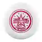 Wham-O Frisbee Ultimate 175g Trainingsscheibe für Wettbewerb -1 Pack Wham-O Frisbee Ultimate 175g Trainingsscheibe für Wettbewerb -1 Pack