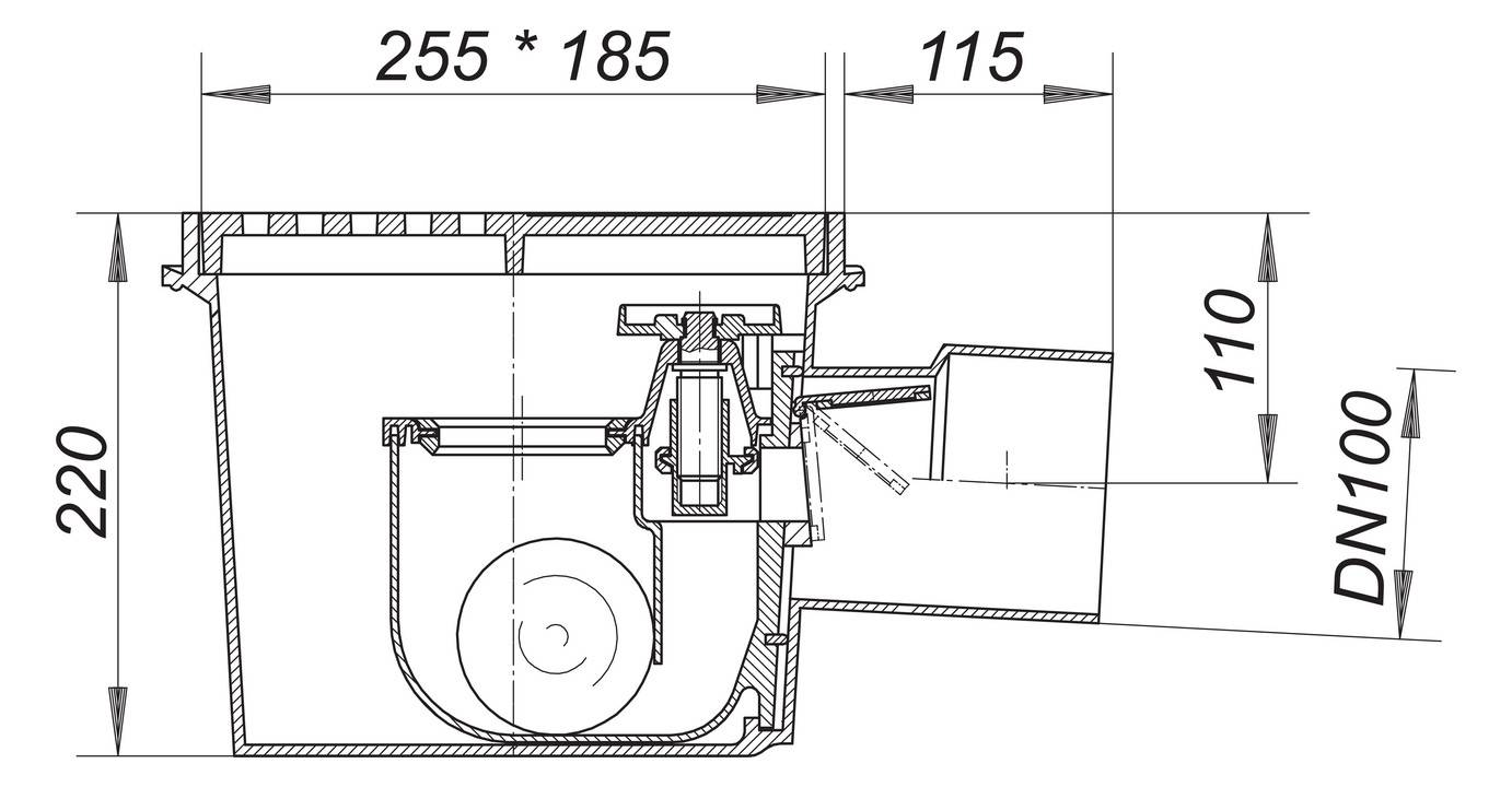 DALLMER Rückstau-Kellerablauf Ballstau 110, DN100