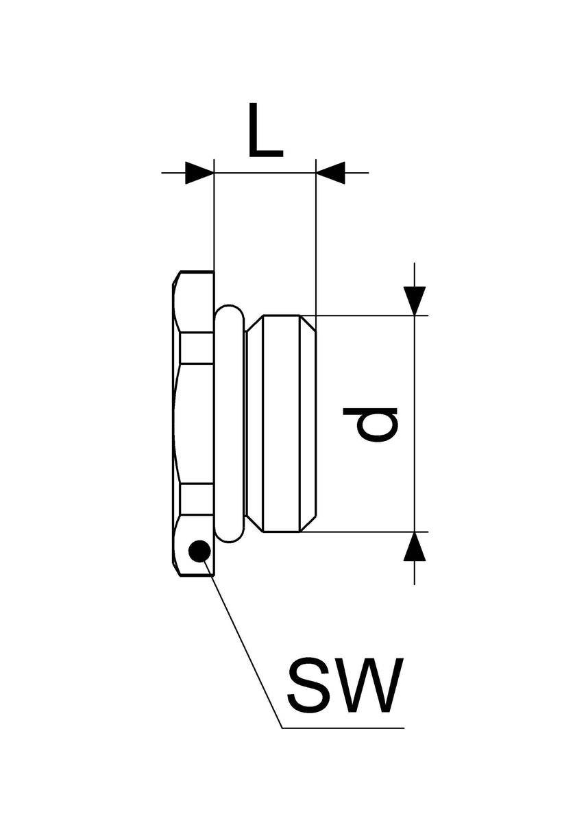 Technische Strichzeichnung eines Steckers mit Beschriftungen der Abmessungen L, D und SW mit Pfeilen, die die Messungen angeben.