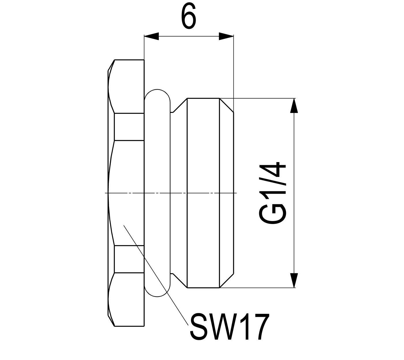 Technische Strichzeichnung eines Rohranschlusses oder Verbinders mit Bezeichnung G1/4, mit angegebenen Abmessungen 6 und SW17.