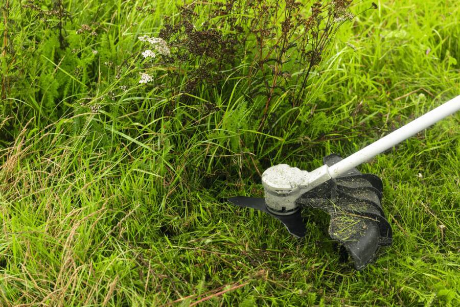 Zubehör zu Akku-Trimmer GRT / Freischneider GFR F016800629 Typ Messer passend zu GRT 18V-33 / GFR 18V-23 Eigenschaften