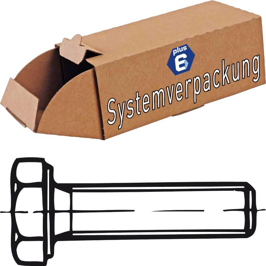 DIN 933 Sechskantschrauben, Gewinde bis Kopf -P6 009338100160055-P6 Norm DIN 933 Werkstoff Stahl 8.8 Oberfläche galvanis