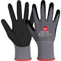 Nitril Feinstrick-Schutzhandschuh Padua Pro 508690-09 Größe 09 Farbe grau/schwarz Trägermaterial Polyester- /Spandexges Nitril Feinstrick-Schutzhandschuh Padua Pro 508690-09 Größe 09 Farbe grau/schwarz Trägermaterial Polyester- /Spandexges