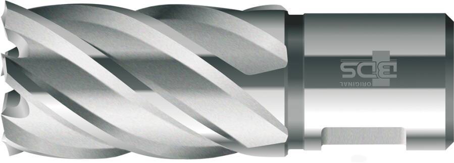 Kernbohrer HSS-Standard Weldon 30 mm KBK-017 Typ HSS-Standard Aufnahme Weldon Schnitttiefe 30 mm Bohr-Ø 17 mm