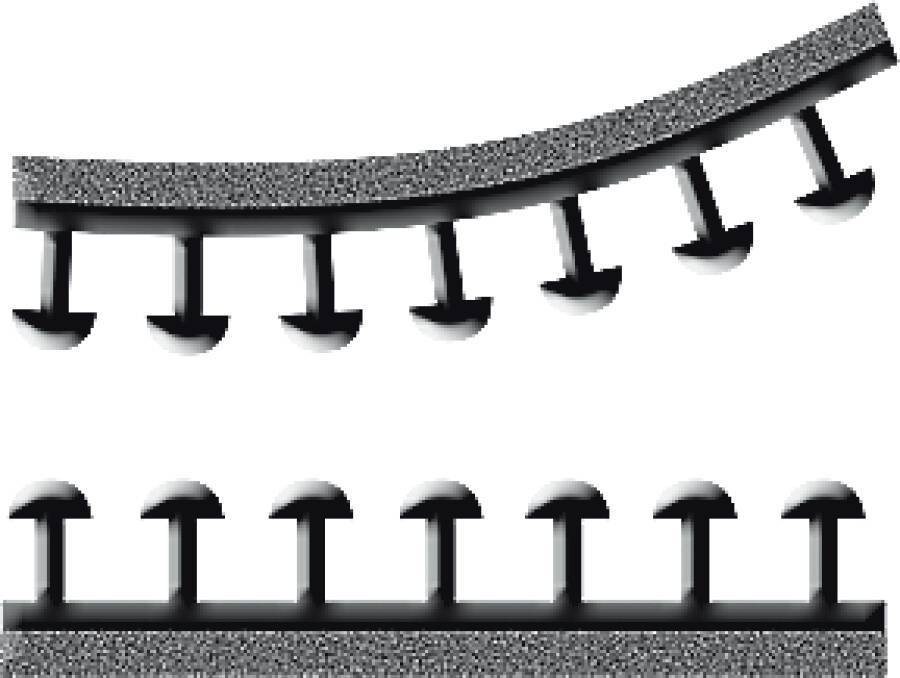 Druckverschluss Dual Lock DLHSE Rollenbreite 25 mm Rollenlänge 1,25 m Dicke 5,7 mm Kleber Acrylat, gute Soforthaftung,