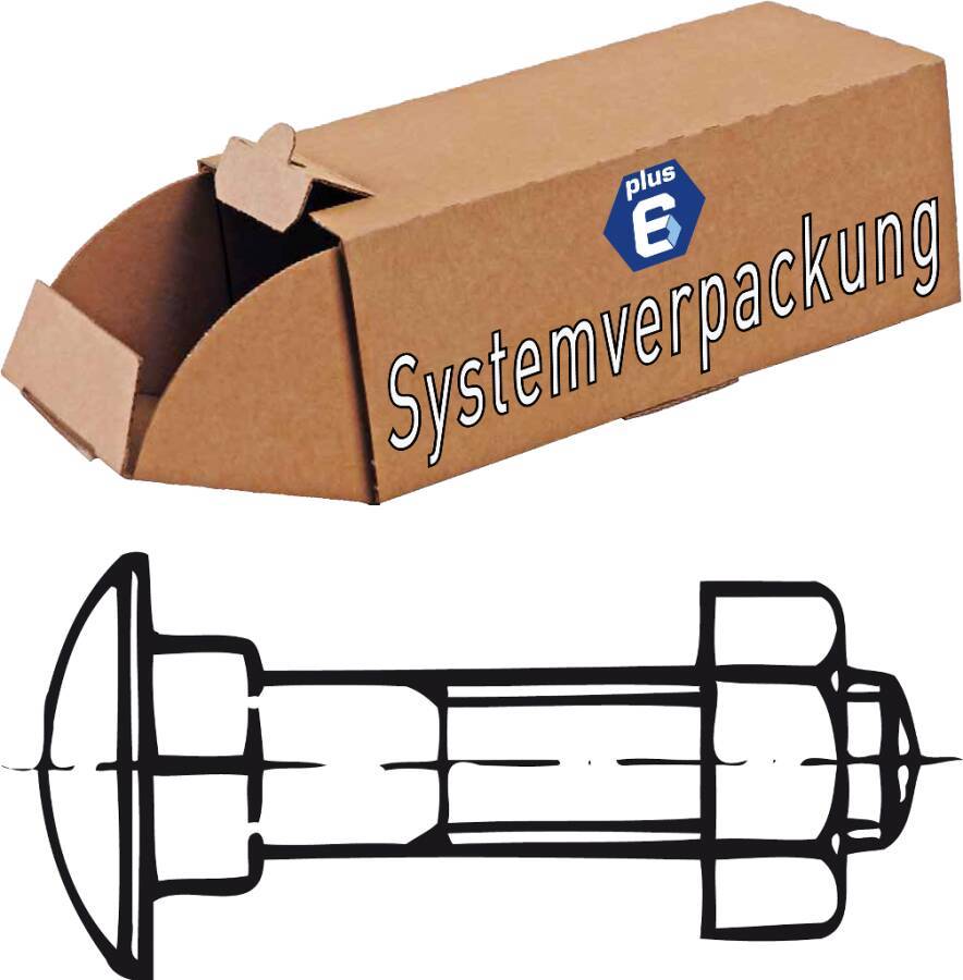 DIN 603 Flachrundschrauben - P6 006034100080050-P6 Norm DIN 603 Werkstoff Stahl Oberfläche galvanisch verzinkt Form mit