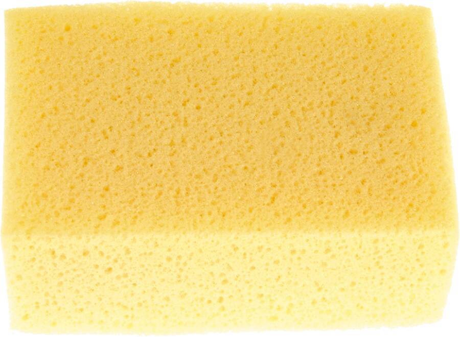 Fliesenschwamm 48654