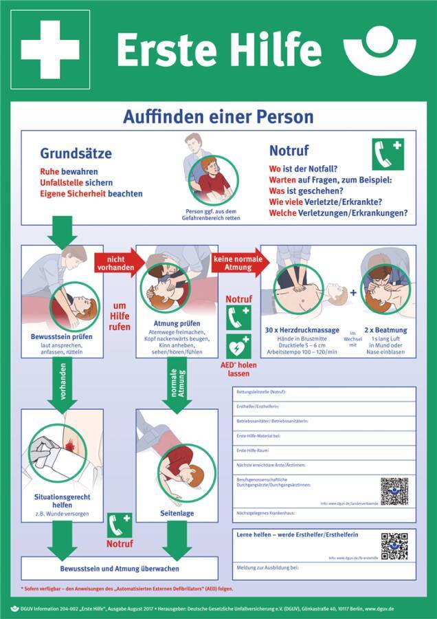Plakat-Anleitung Erste Hilfe 8001034