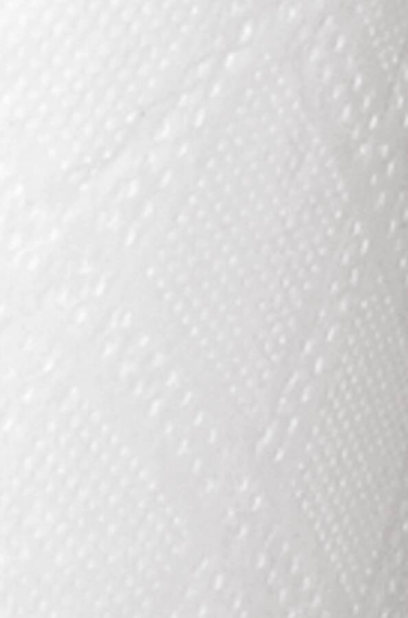 Handtuchrolle 8982606 Farbe hochweiß Ausführung 2-lagig Maße 20,5 cm x 151 m Blattmaß 34 x 20,5 cm Typ Classic Blattanza
