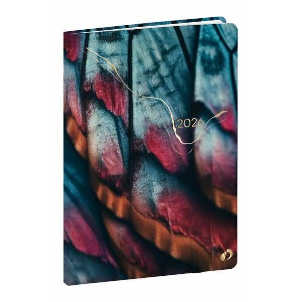 Kalender Geschäft 10x15cm 13 Monaten Hipsy Schmetterling 2026