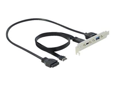 DELOCK USB 3.1 Slotblech mit 1x USB-C und 1x USB-A Port Multimedia-Technik Slotbleche