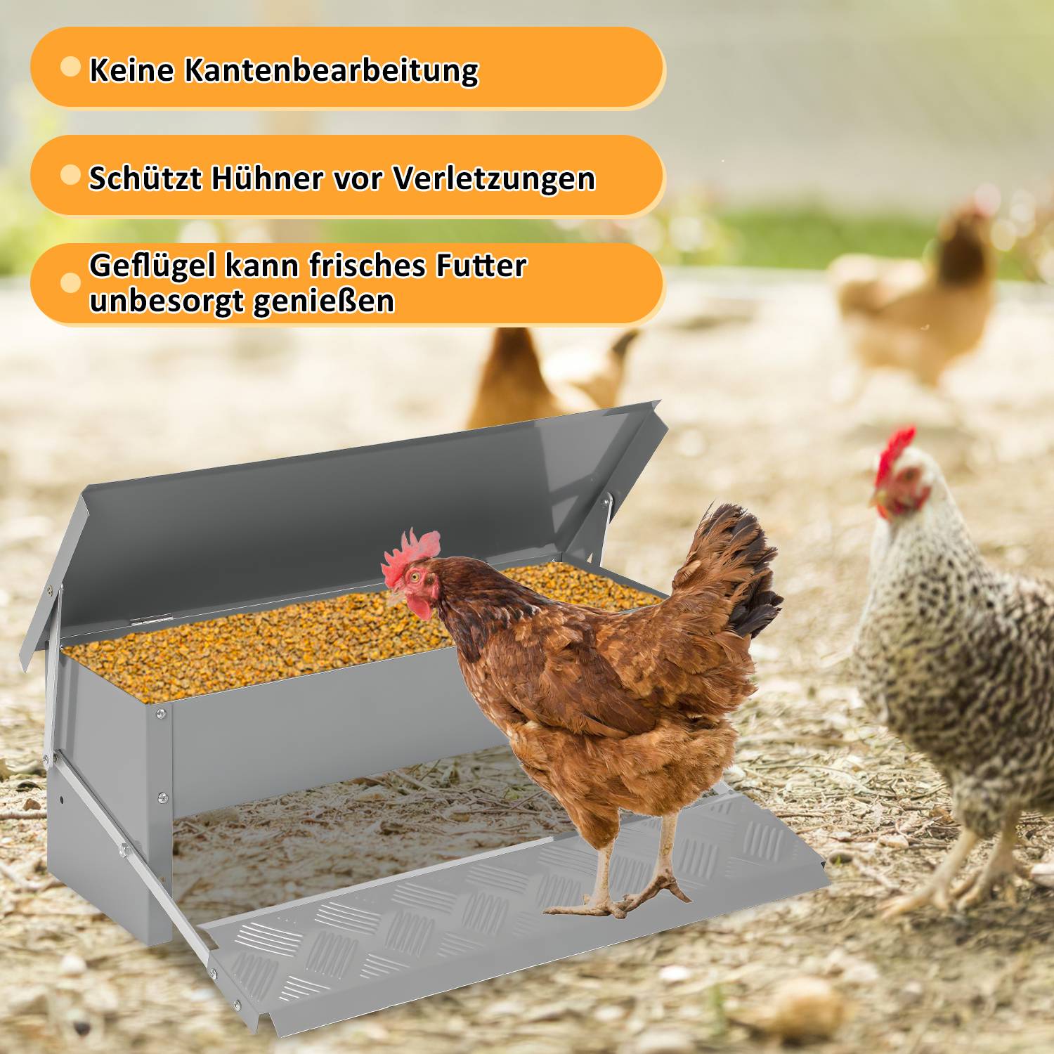 Futterautomat Hühner mit Handschuhe und Dosierlöffel – Automatischer Futterspender für Hühner, Gänse und Enten, 5KG Kapazität, rattensicher