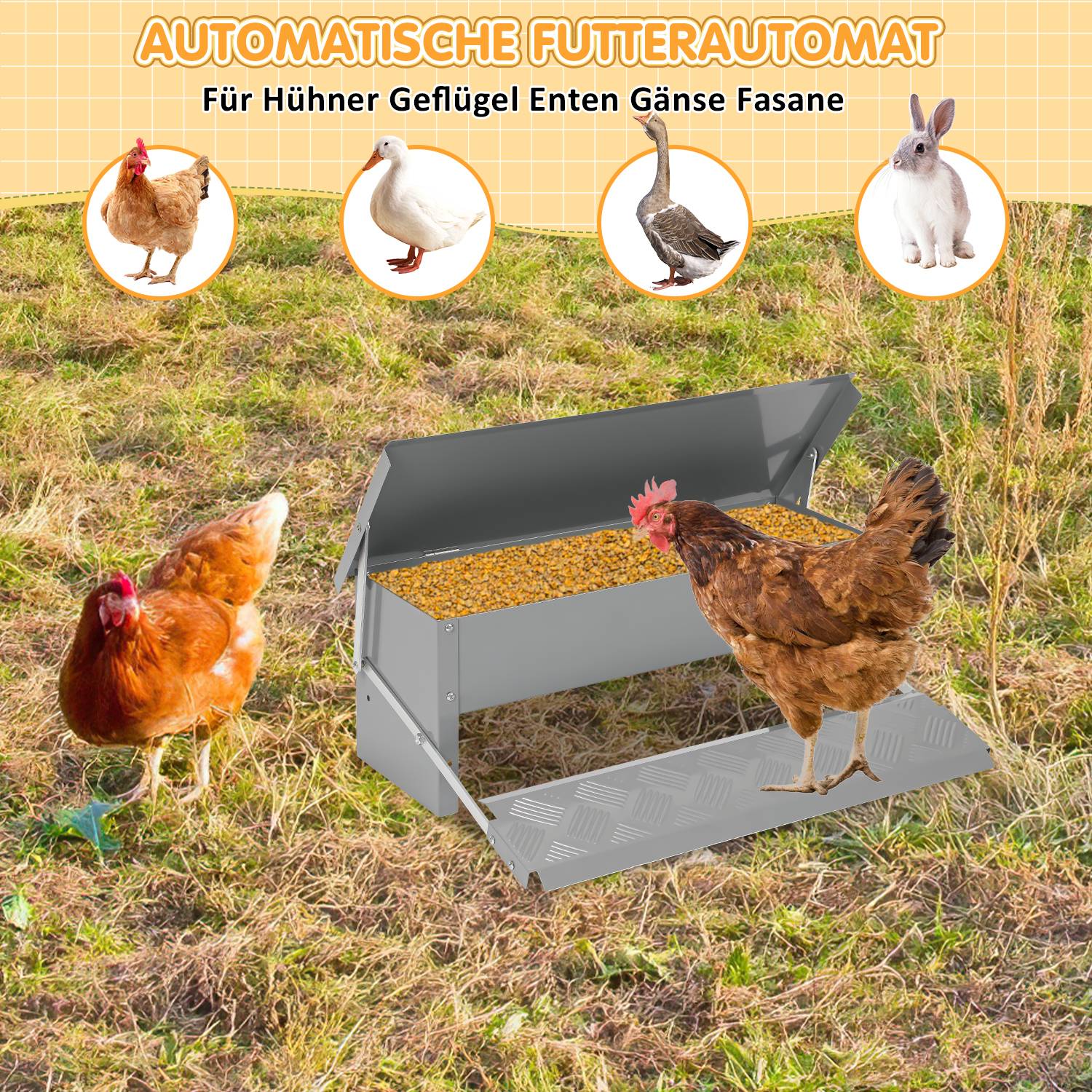 Futterautomat Hühner mit Handschuhe und Dosierlöffel – Automatischer Futterspender für Hühner, Gänse und Enten, 5KG Kapazität, rattensicher