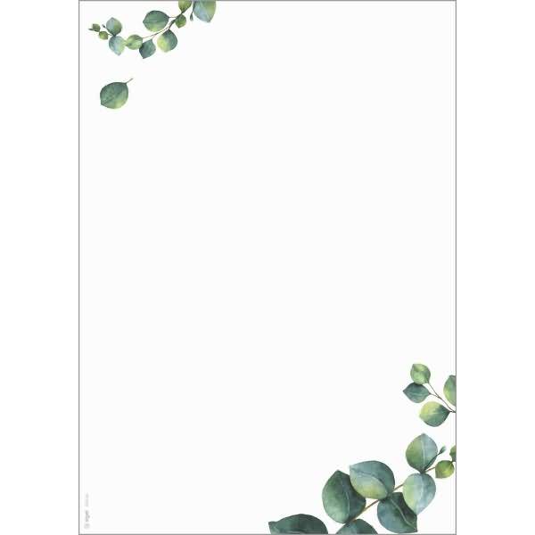Motiv-Papier A4 90g Eucalyptus 100 Blatt