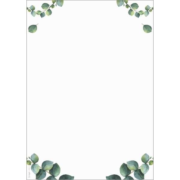 Motiv-Papier A4 90g Eucalyptus Getränkekarte 100 Blatt