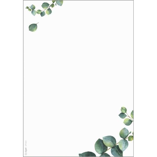 Motiv-Papier A5 90g Eucalyptus 100 Blatt