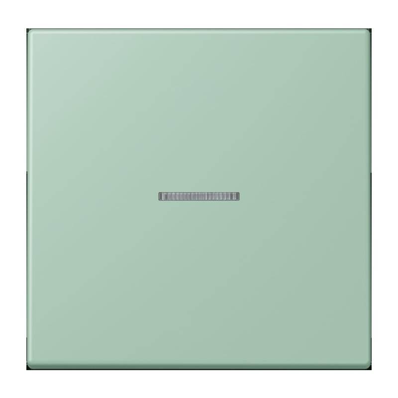 Jung eNet Taster Standard 1fach FM LC 1700 217