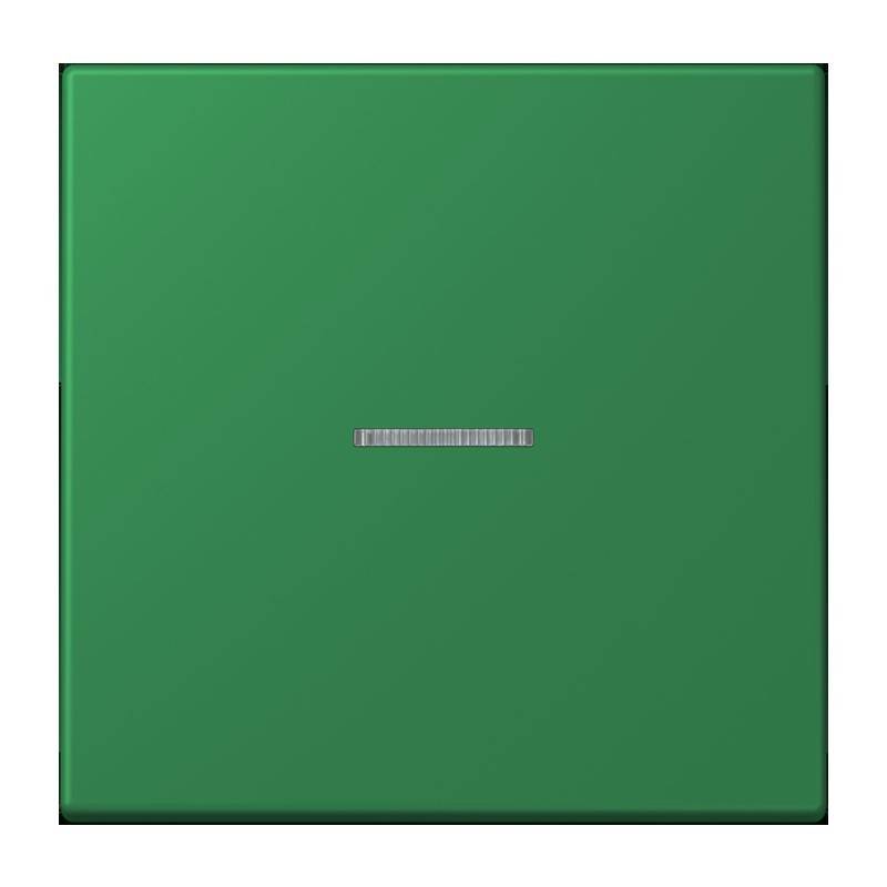 Jung eNet Taster Standard 1fach FM LC 1700 219