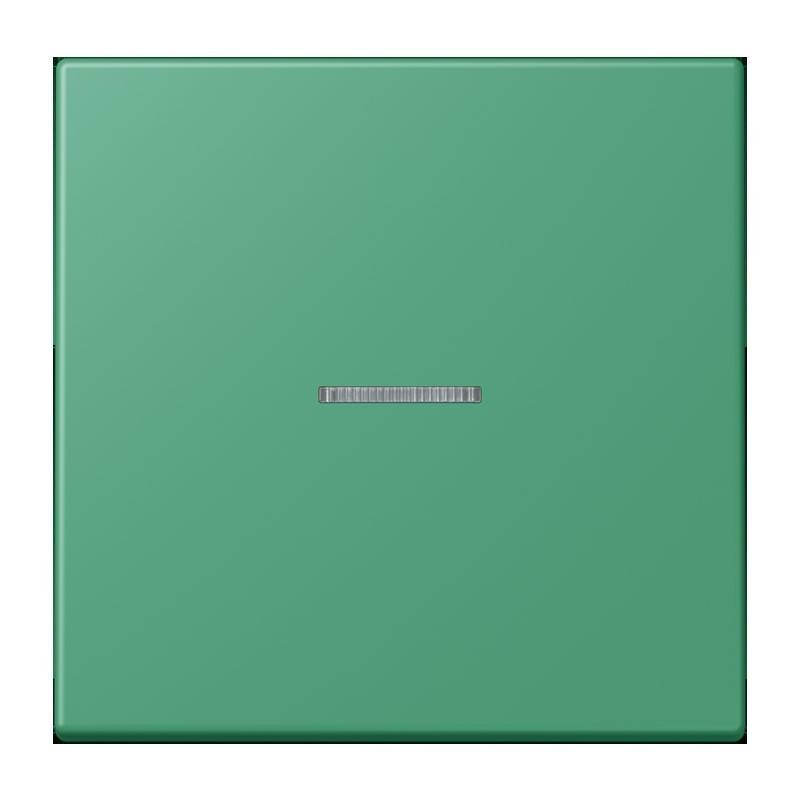 Jung eNet Taster Standard 1fach FM LC 1700 250