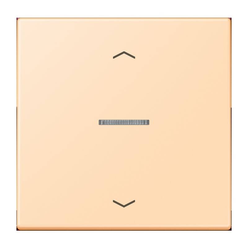 Jung eNet Taster Standard 1fach FM LC 1700 P 223