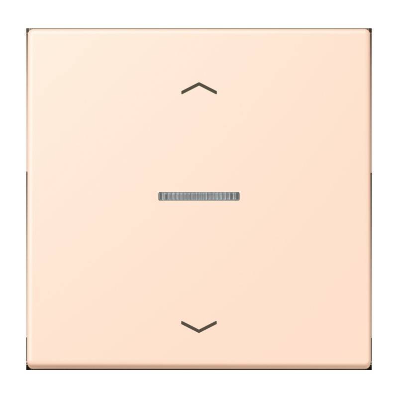 Jung eNet Taster Standard 1fach FM LC 1700 P 228