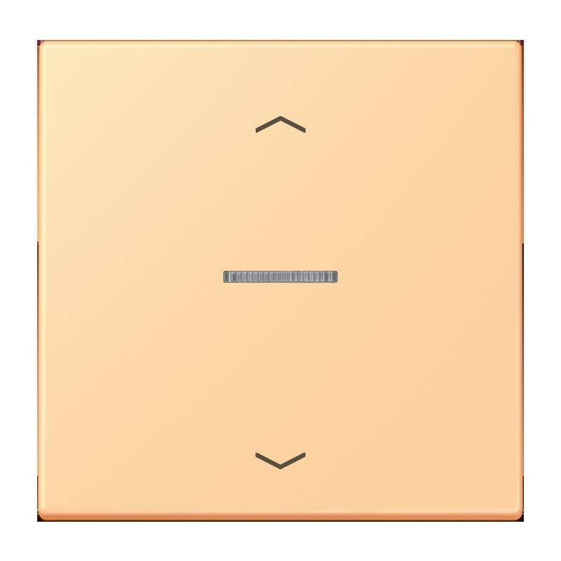 Jung eNet Taster Standard 1fach FM LC 1700 P 258