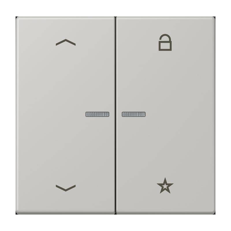 Jung eNet Taster Universal 1f. FM LC 1701 P 205