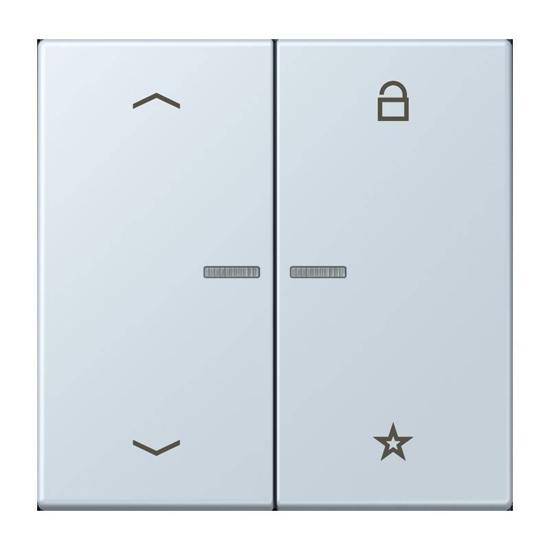 Jung eNet Taster Universal 1f. FM LC 1701 P 209