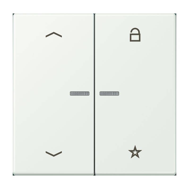 Jung eNet Taster Universal 1f. FM LC 1701 P 210