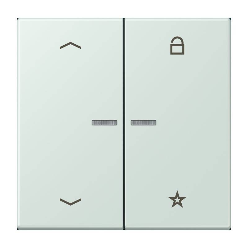 Jung eNet Taster Universal 1f. FM LC 1701 P 215