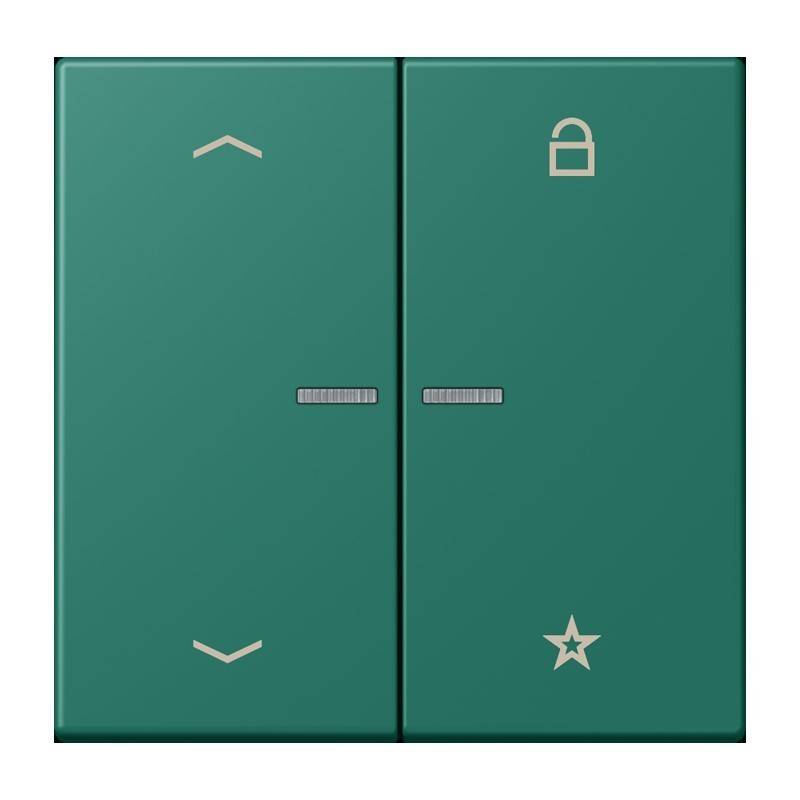 Jung eNet Taster Universal 1f. FM LC 1701 P 216