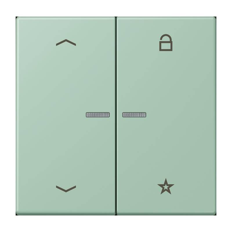 Jung eNet Taster Universal 1f. FM LC 1701 P 217