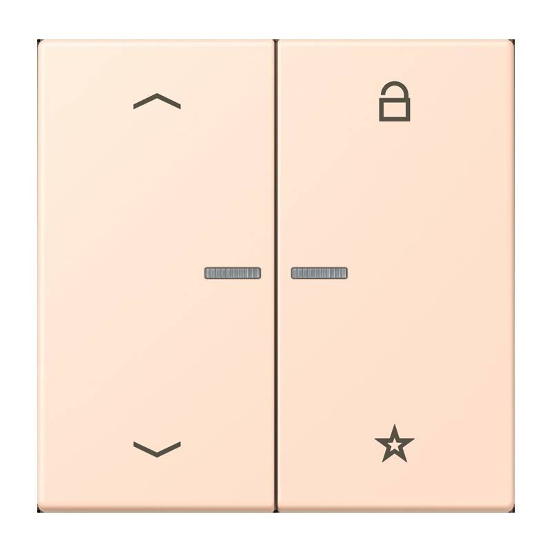 Jung eNet Taster Universal 1f. FM LC 1701 P 228