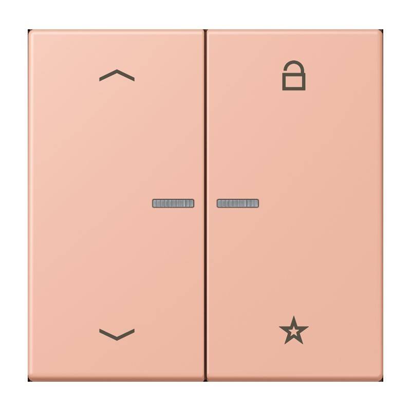 Jung eNet Taster Universal 1f. FM LC 1701 P 231