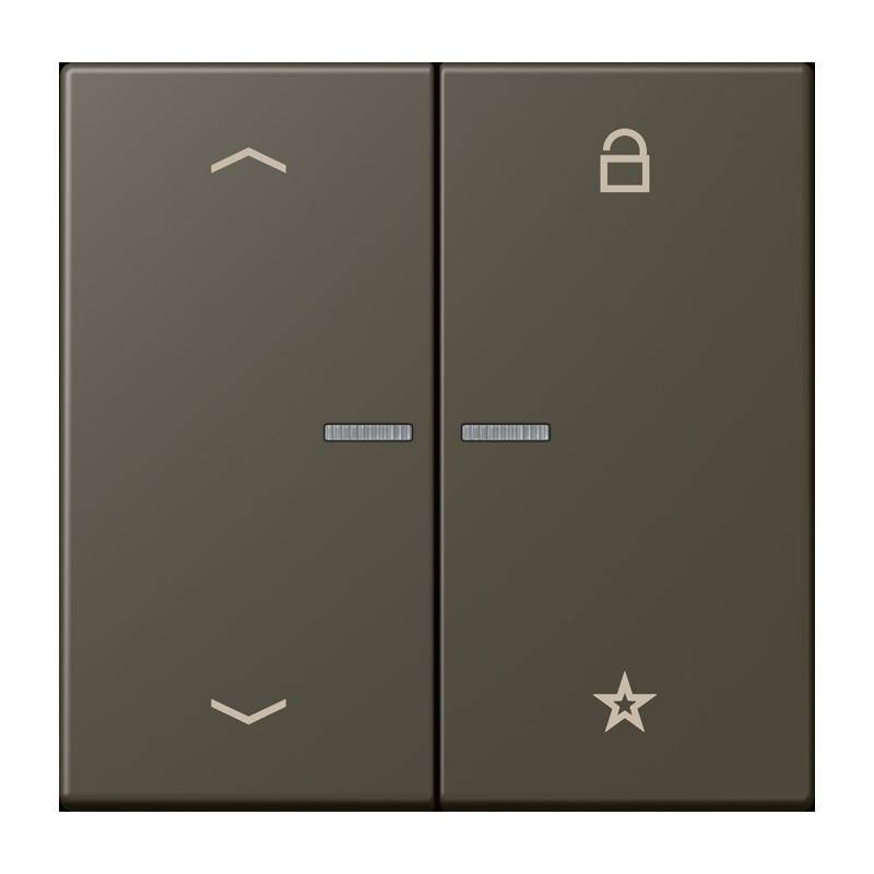 Jung eNet Taster Universal 1f. FM LC 1701 P 241