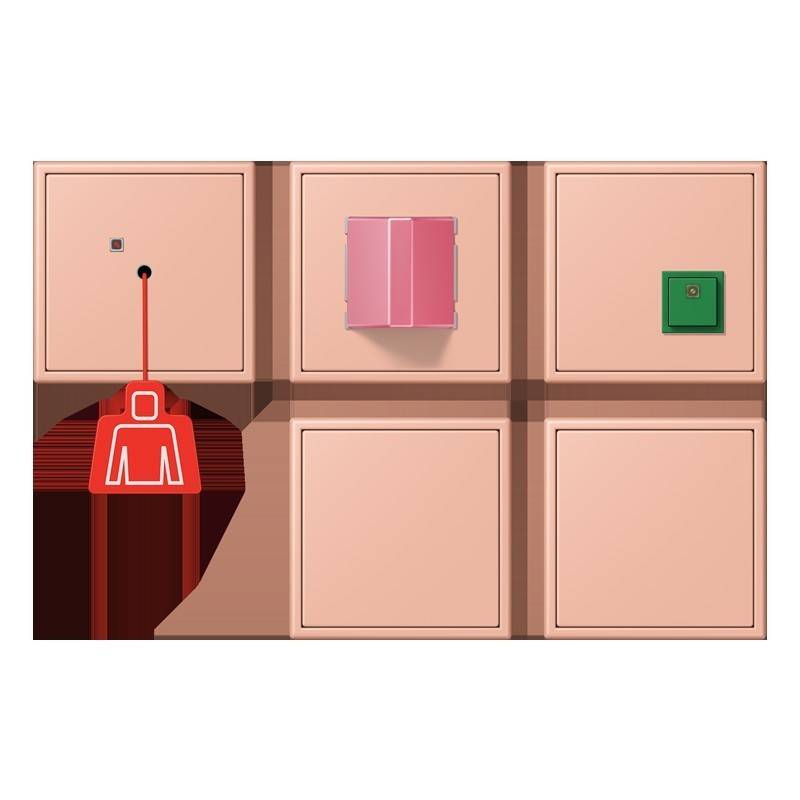 Jung Notrufset mit USV NRS LC 0834-2 231