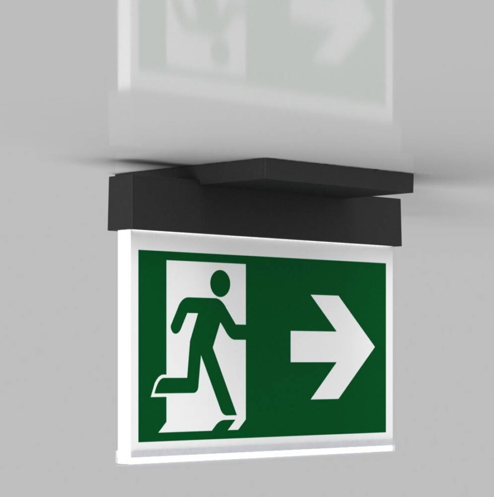 RP-Technik Sicherheitsleuchte AIE408SC-AZ