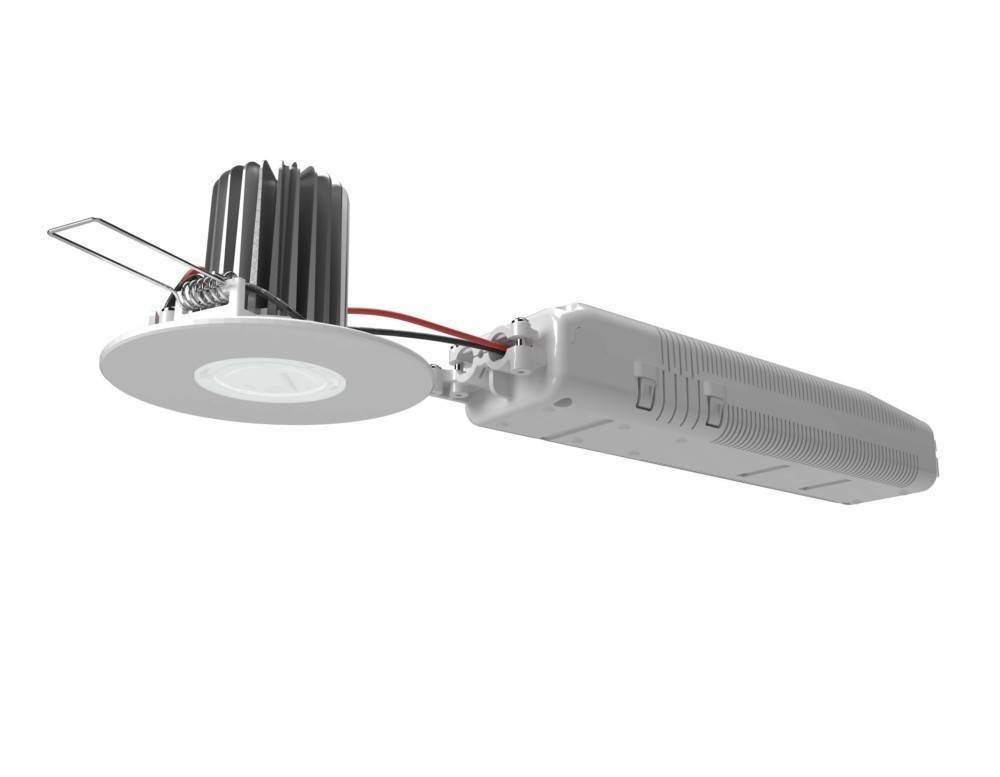 RP-Technik Sicherheitsleuchte DDE039ML