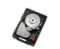 IBM Corporation 41Y8248 Speicher