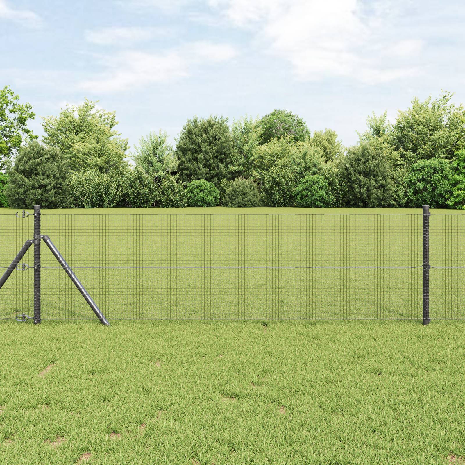 vidaXL Schweißdrahtzaun Grau 0.8x100 m Stahl
