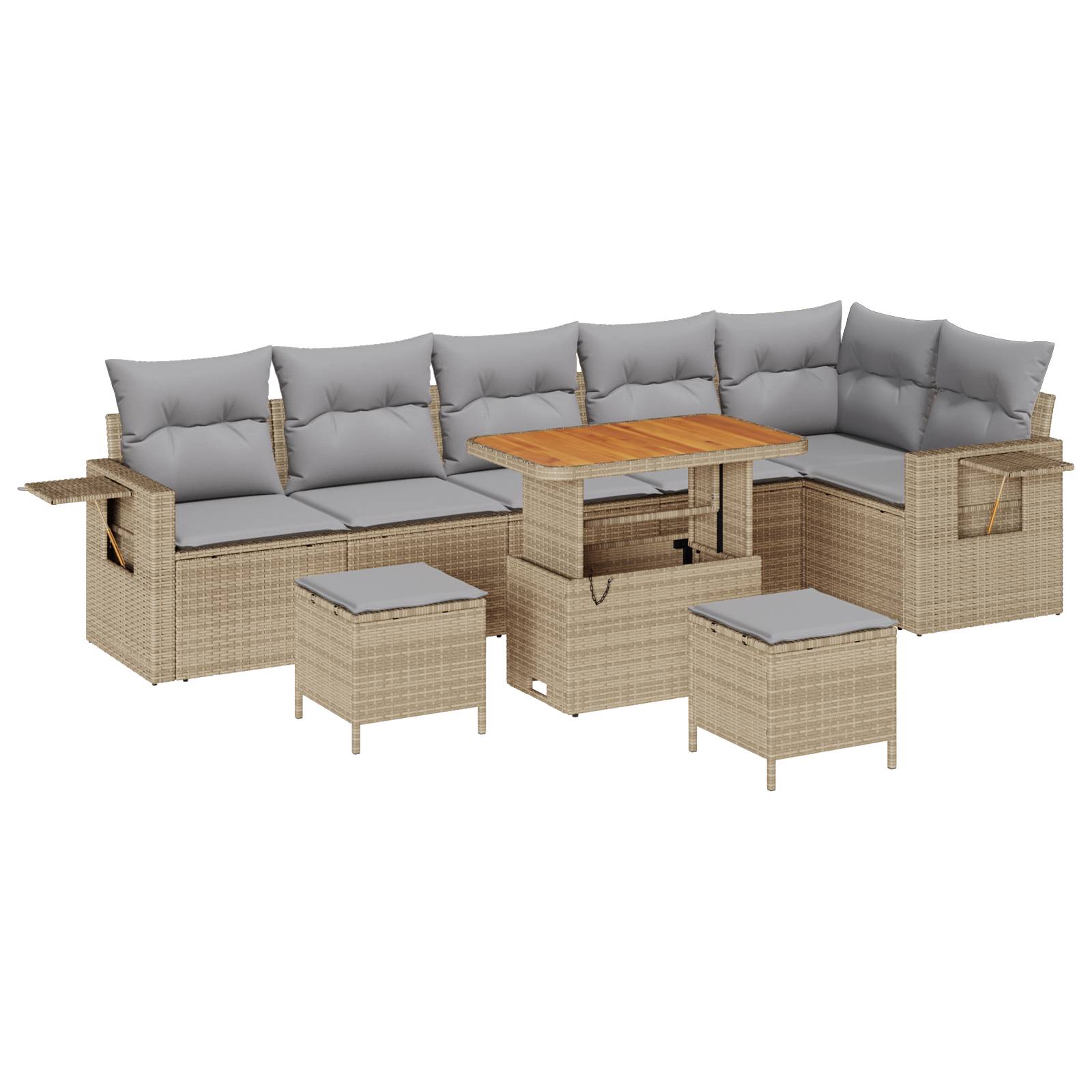 vidaXL 9-teiliges Garten-Sofa-Set mit Kissen Beige Poly Rattan Akazie