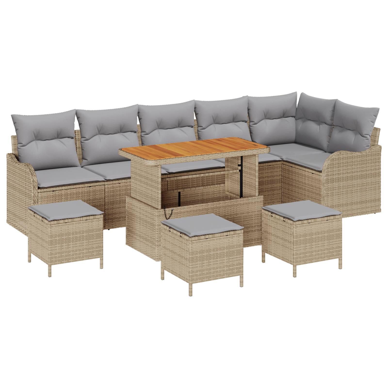 vidaXL 10-teiliges Garten Sofa Set mit Kissen Beige Poly Rattan Akazie