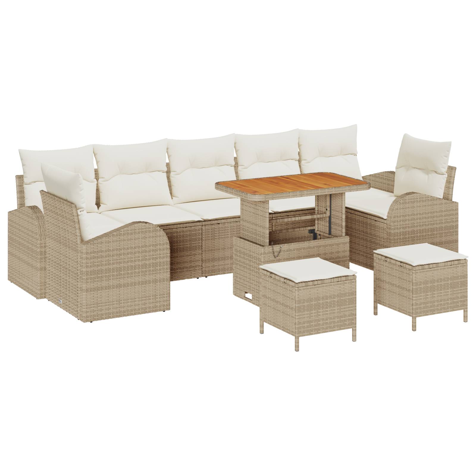 vidaXL 10-teiliges Garten Sofa Set mit Kissen Beige Poly Rattan Akazie
