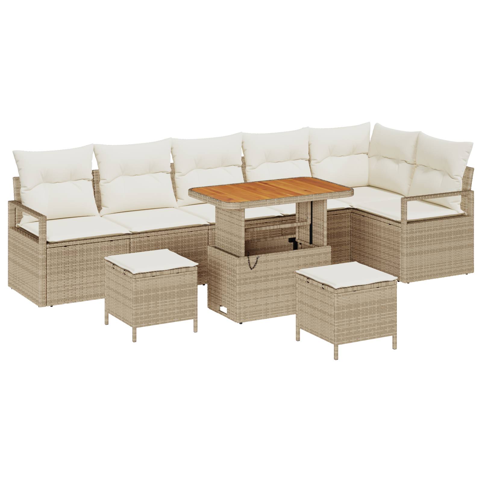 vidaXL 9-teiliges Garten Sofa Set mit Kissen Beige Poly Rattan Akazie