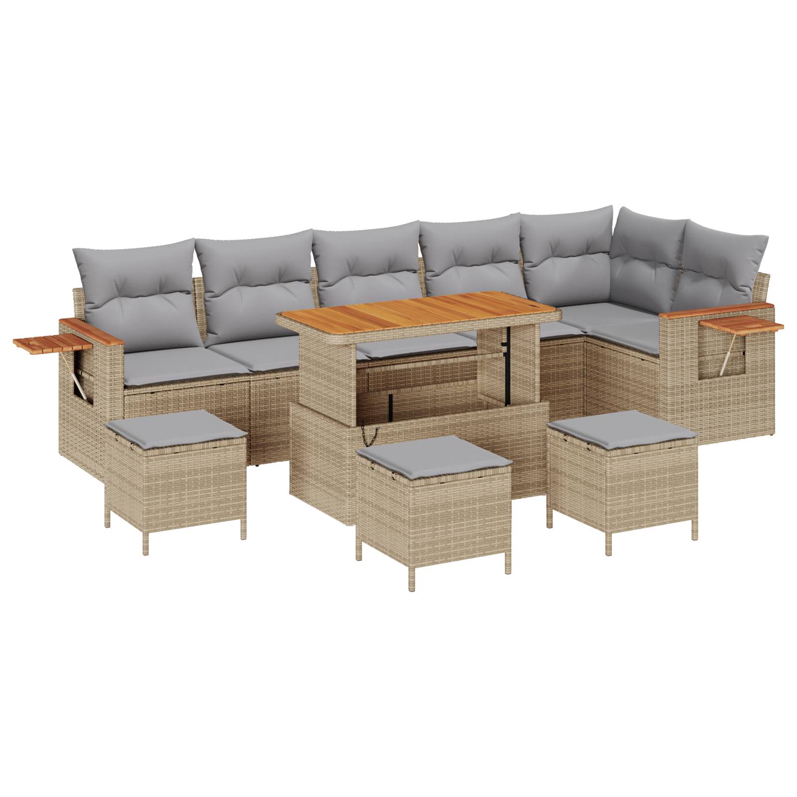 vidaXL 10-teiliges Garten Sofa Set mit Kissen Beige Poly Rattan Akazie
