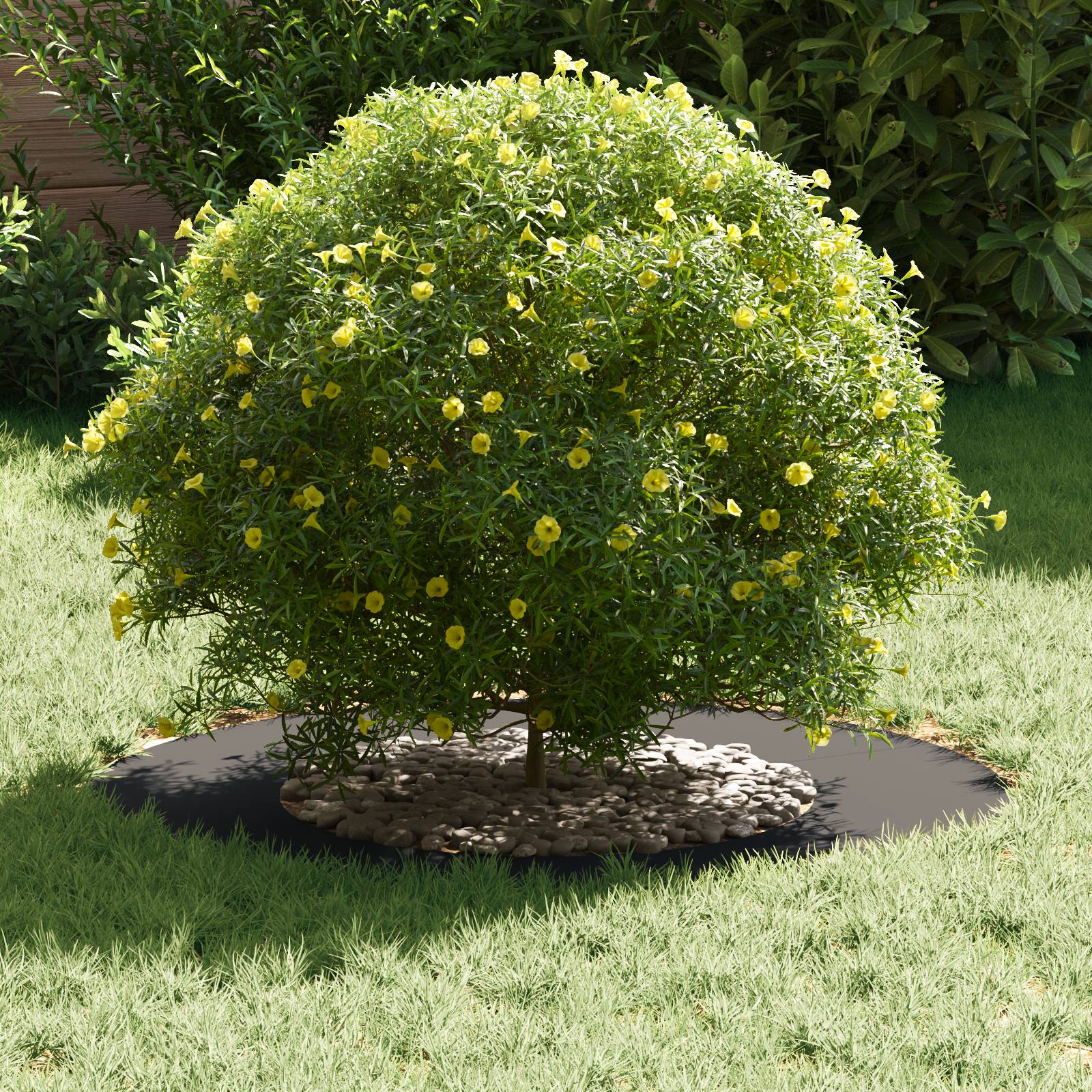 vidaXL Plastikpflanzgefäße Schwarz Kunststoff Groß Langlebig