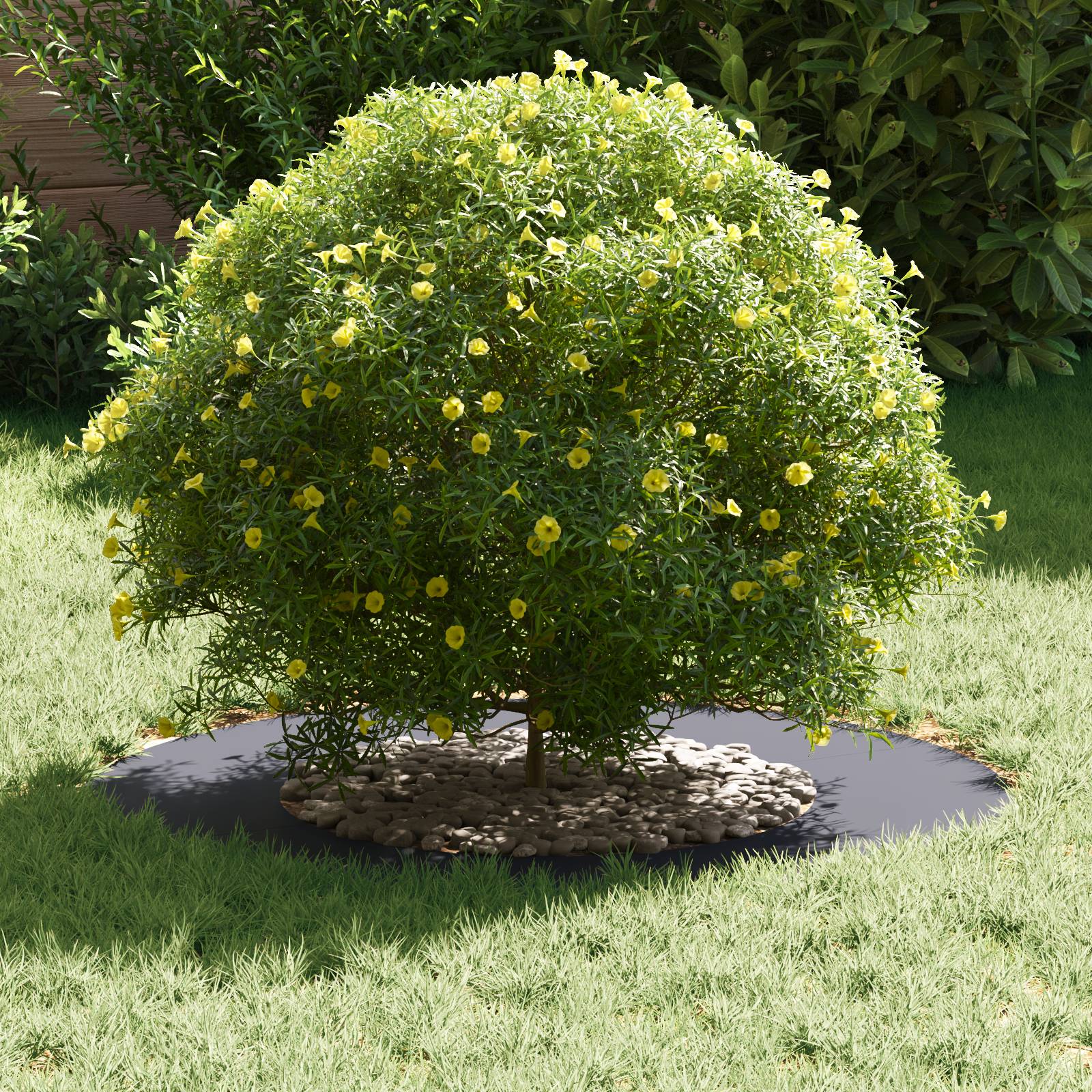 vidaXL Kunststoff Pflanzset Anthrazit Kunststoff Groß Langlebig