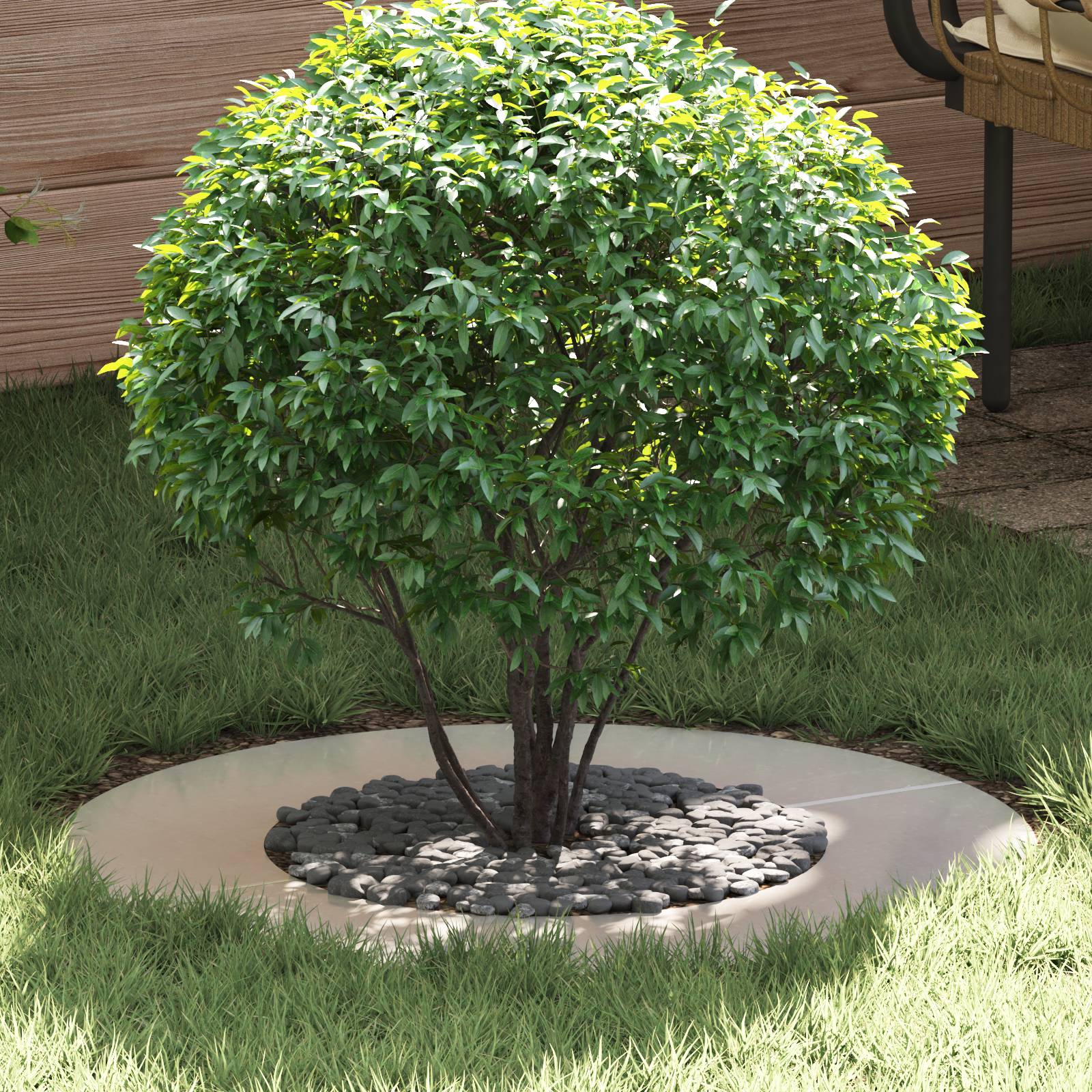 vidaXL Pflanzenring Edelstahl Groß Langlebig Rund Minimalistisch