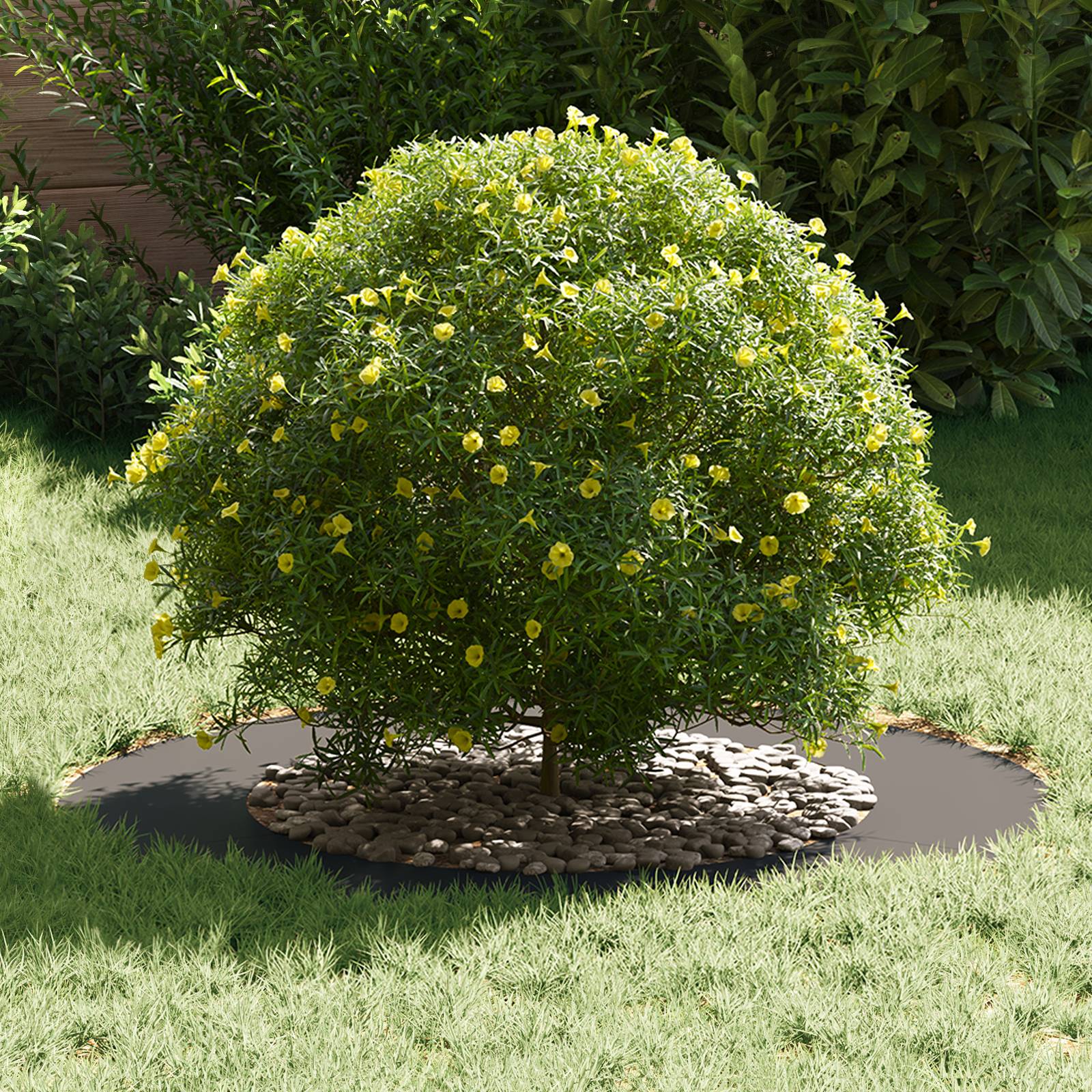 vidaXL Kunststoff Pflanzer Schwarz Kunststoff Groß Rund Modern