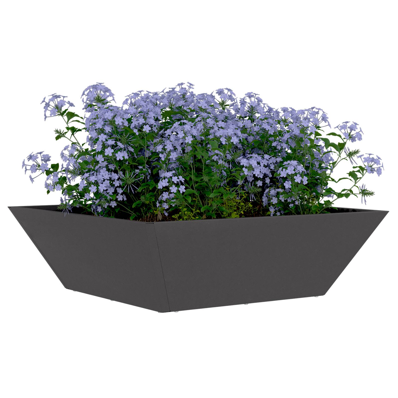 vidaXL Metallpflanzer Schwarz Metall 50 x 50 x 15 cm Dekorative Akzente